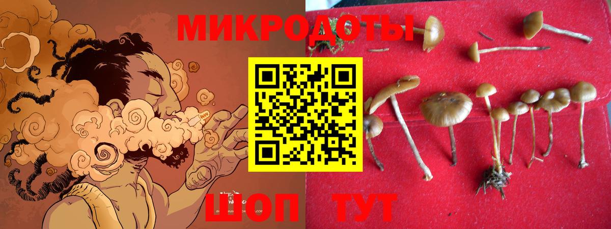 Галлюциногенные грибы Psilocybe Рузаевка